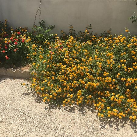 A Casa Di Zia Bed & Breakfast Oschiri ภายนอก รูปภาพ