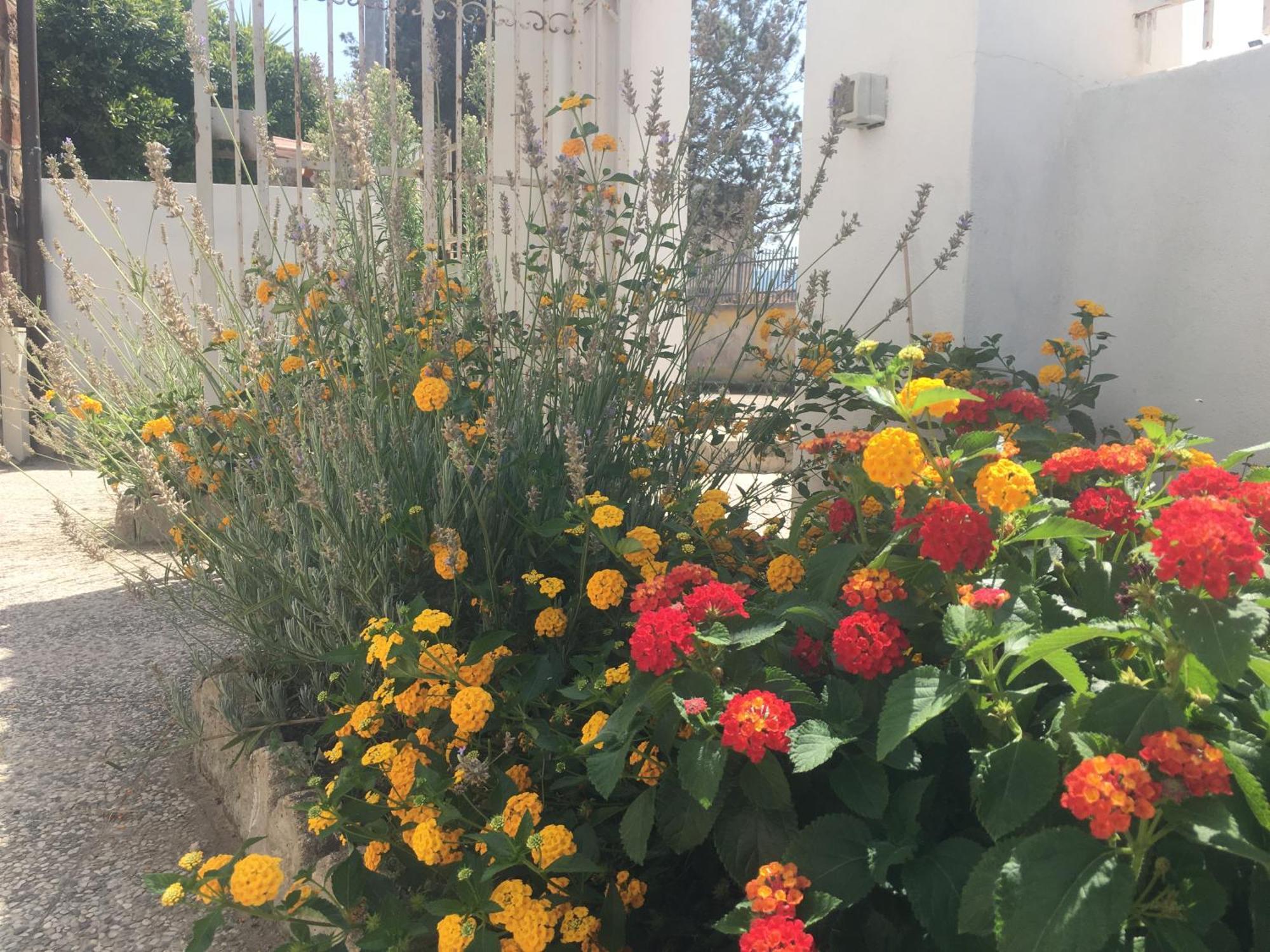 A Casa Di Zia Bed & Breakfast Oschiri ภายนอก รูปภาพ